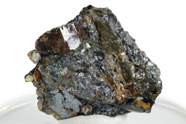 Fluorescent Zircon Crystals in Biotite Schist - Norway #351532